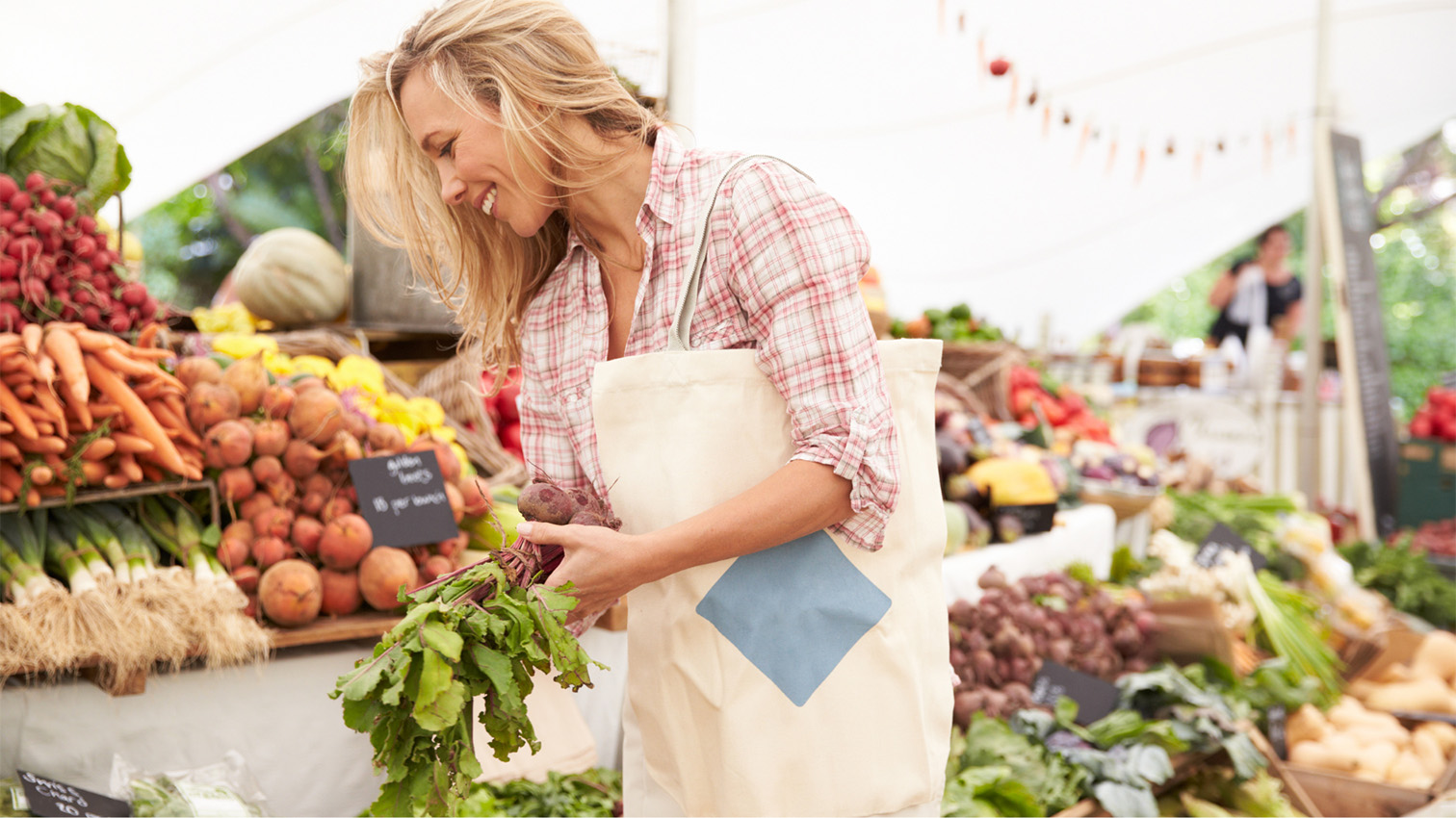 Life in Horizon City for Verdancia Families