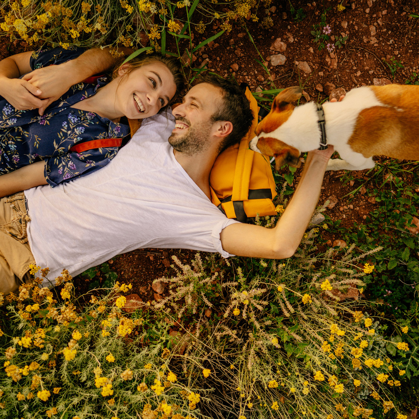 iStock-1266454121_cropped