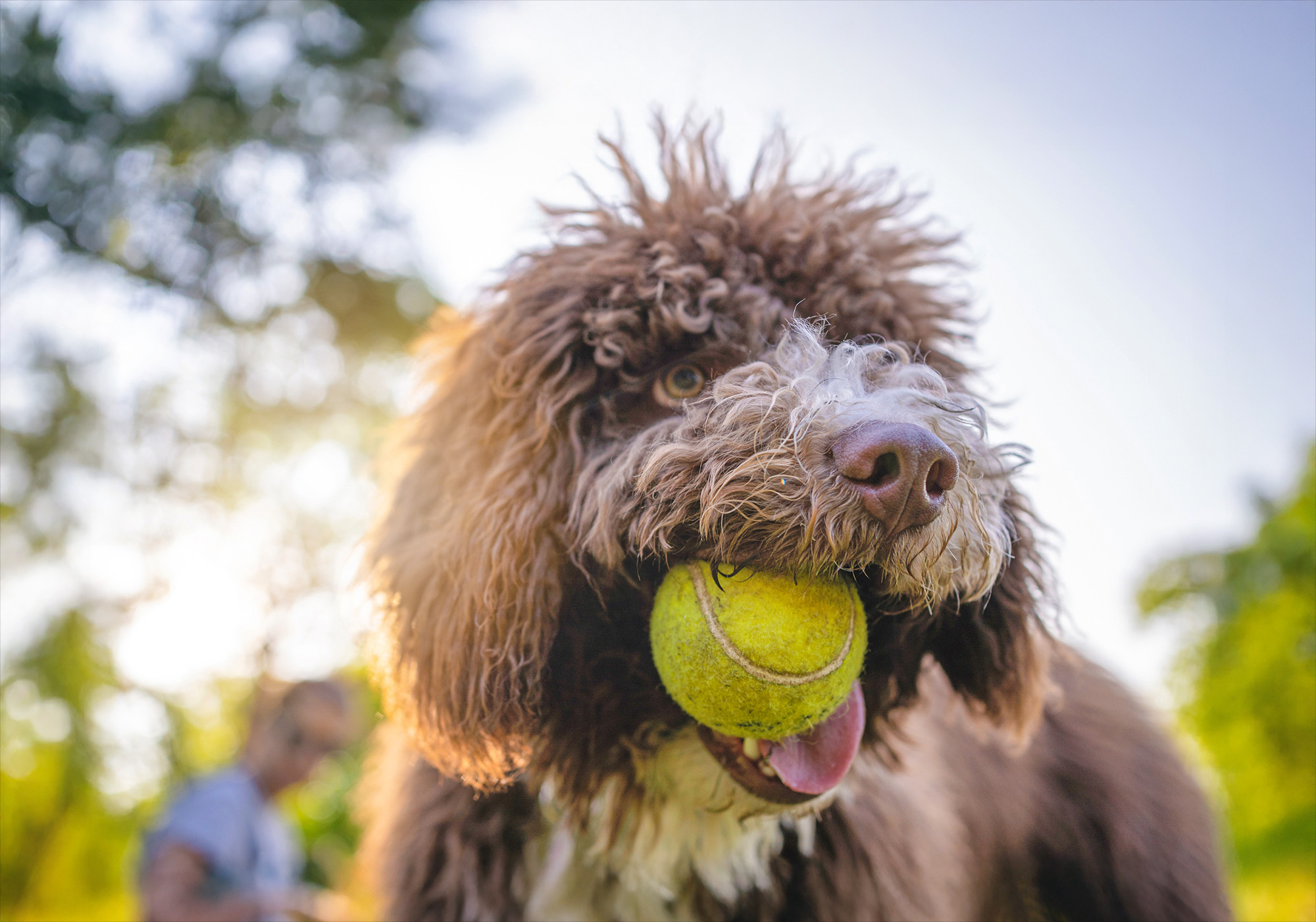 iStock-1211831480 - pocket parks